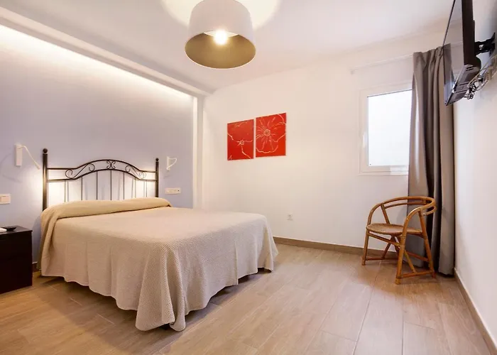 Falco 2 라 올리바